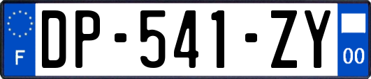 DP-541-ZY