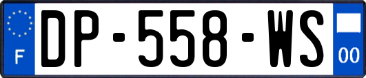 DP-558-WS