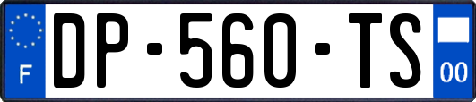 DP-560-TS