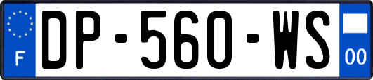 DP-560-WS