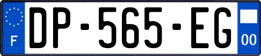 DP-565-EG