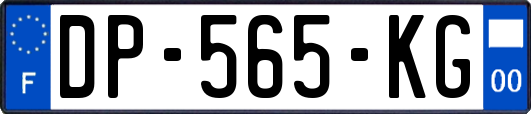 DP-565-KG