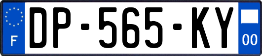 DP-565-KY