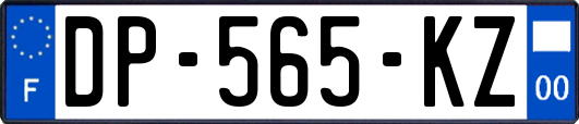 DP-565-KZ