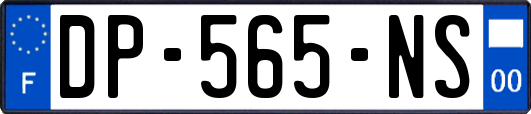 DP-565-NS