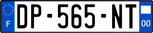 DP-565-NT