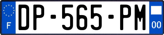 DP-565-PM