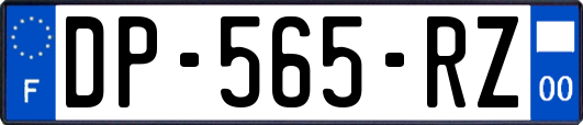 DP-565-RZ