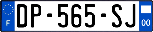 DP-565-SJ