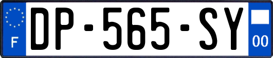 DP-565-SY