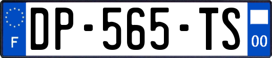 DP-565-TS