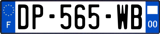 DP-565-WB