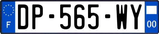 DP-565-WY