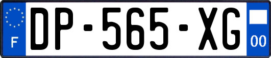 DP-565-XG