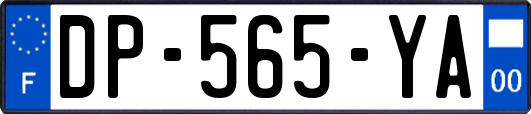 DP-565-YA