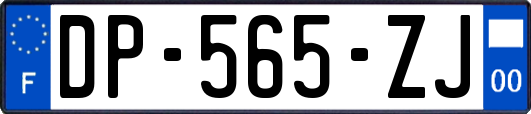 DP-565-ZJ