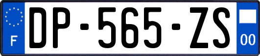 DP-565-ZS