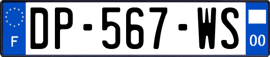 DP-567-WS