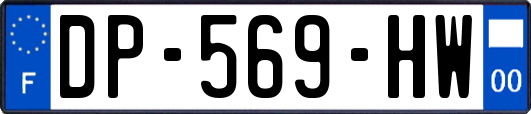DP-569-HW