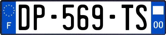 DP-569-TS