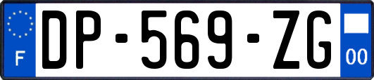 DP-569-ZG