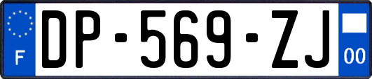 DP-569-ZJ