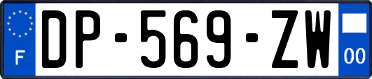 DP-569-ZW