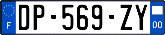 DP-569-ZY