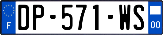 DP-571-WS