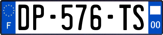 DP-576-TS