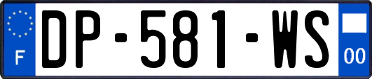 DP-581-WS