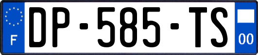 DP-585-TS