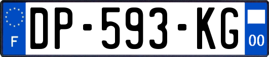 DP-593-KG