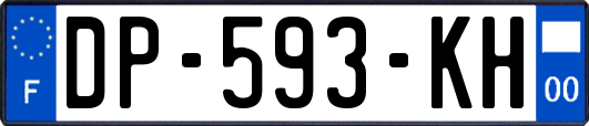 DP-593-KH