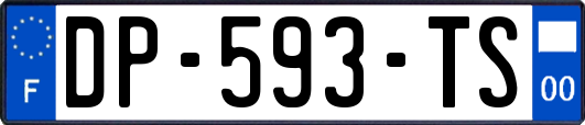 DP-593-TS