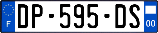 DP-595-DS