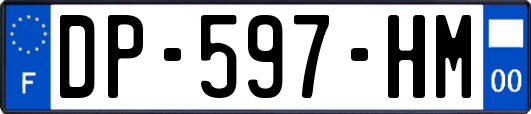 DP-597-HM