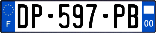 DP-597-PB