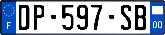 DP-597-SB