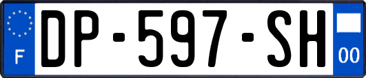 DP-597-SH