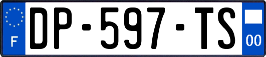 DP-597-TS