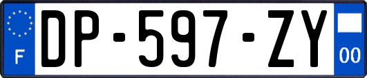 DP-597-ZY