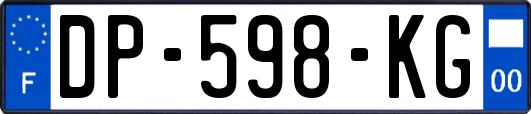 DP-598-KG