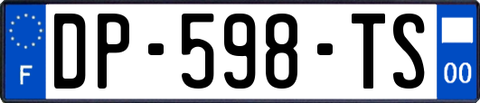 DP-598-TS