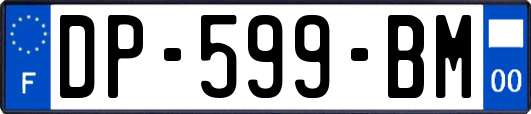 DP-599-BM