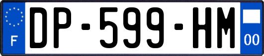 DP-599-HM