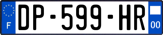DP-599-HR