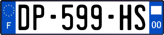 DP-599-HS