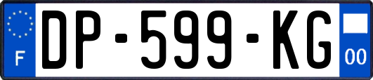 DP-599-KG