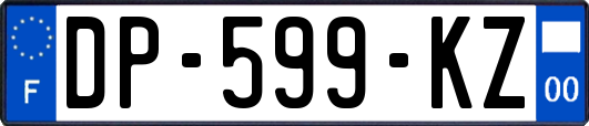 DP-599-KZ